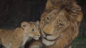 Mufasa: The Lion King Mufasa: The Lion King