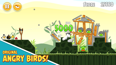 Angry Birds