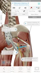 Human Anatomy Atlas 2020: Complete 3D Human Body