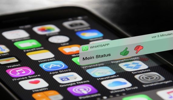 WhatsApp Enhances User Experience with HD Video Sharing Feature img