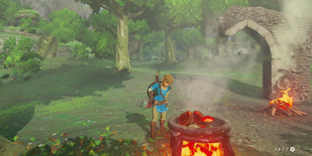 The Legend of Zelda Breath of the Wild game